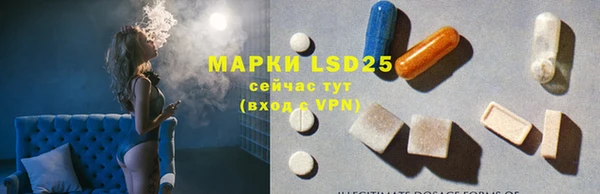 PSILOCYBIN Алексеевка