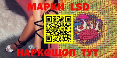 дживик Моздок