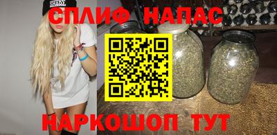 дживик Моздок