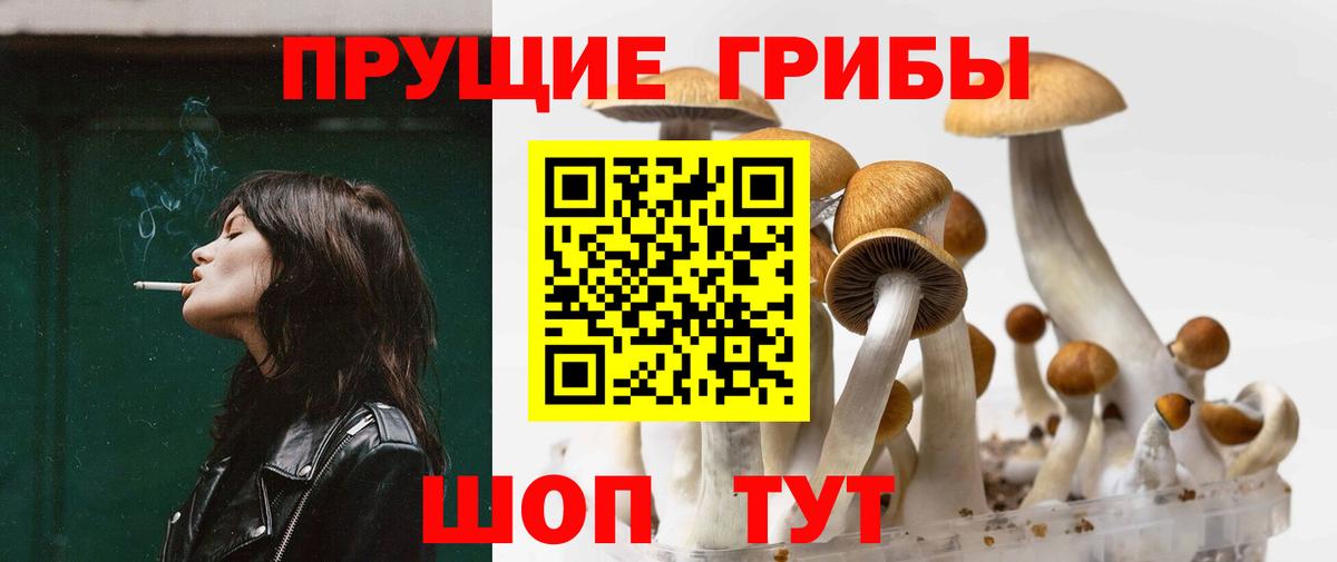 Ртищево  Галлюциногенные грибы мицелий  Вход с VPN 