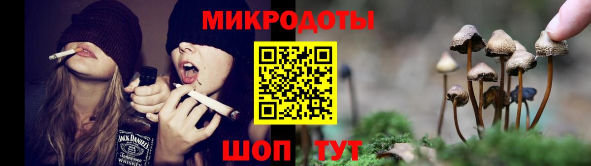 Псилоцибиновые грибы Psilocybe Ртищево
